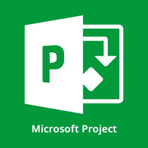 Microsoft Project 2010